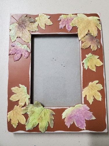 2003 life echoes picture - echoes, frame