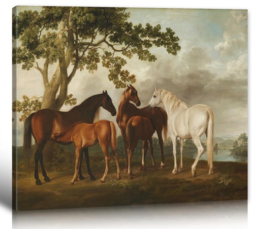 Framed horse - framed,
