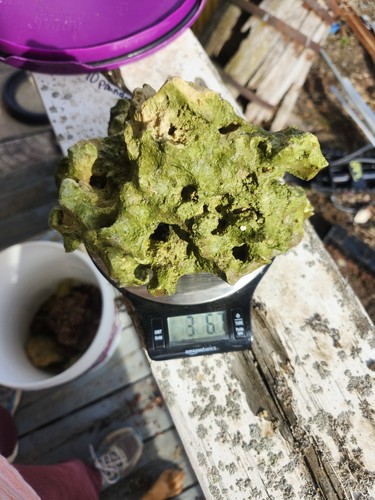 Fiji dry base - fiji, for