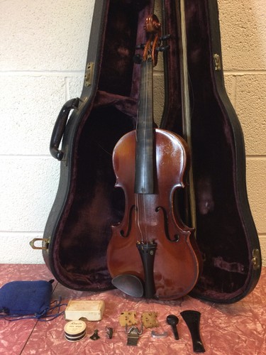 Antonius stradivarius - antonius,