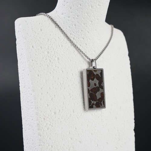 Sericho pallasite meteorite - ,