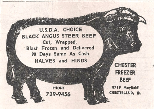 Chester freezer beef - chester,