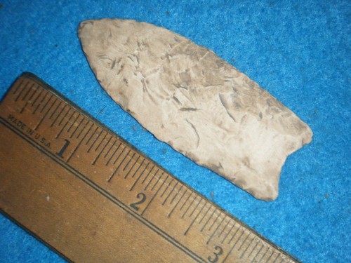 Arrowhead paleo - in.,