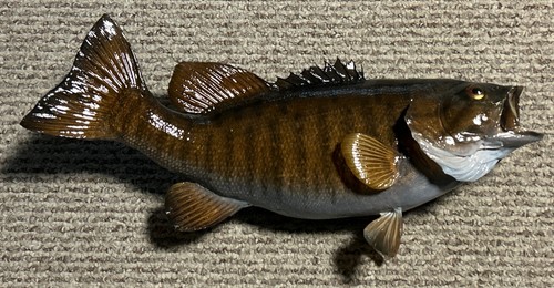 Vintage 1991 smallmouth bass - vintage,