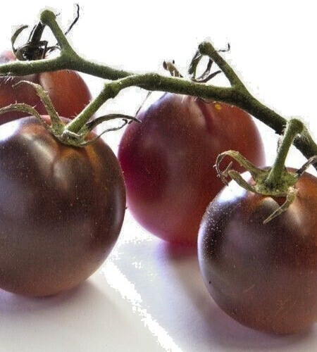 Mix tomato seeds - tomato, seeds,