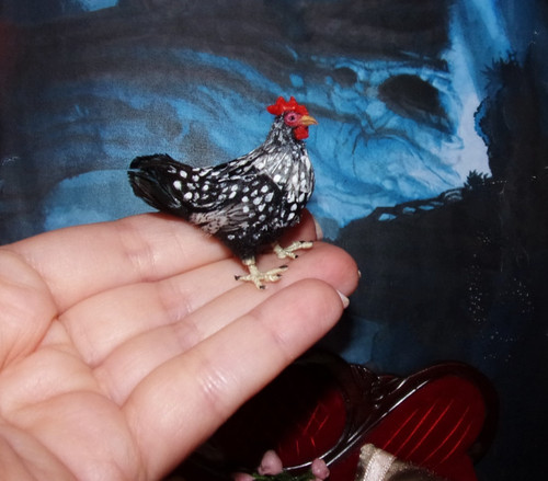 Wyandotte chicken made - chicken, to