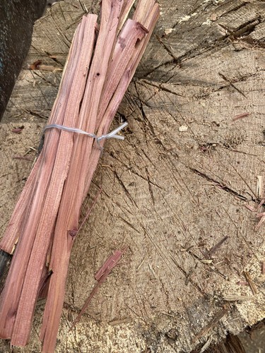 Bundles cedar wood fire - bundles, of