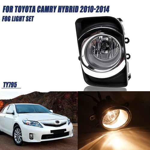 Front fog light assembly - light, right
