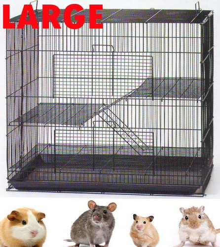Large chew proof - large, 30"