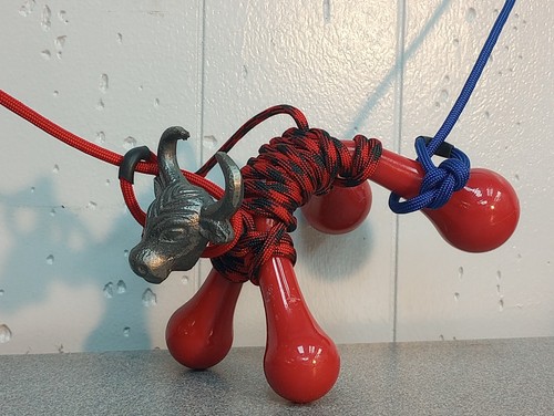 Micro mini brahma bull - mini,