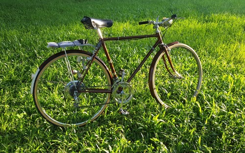 Vintage early 1970 raleigh - vintage,
