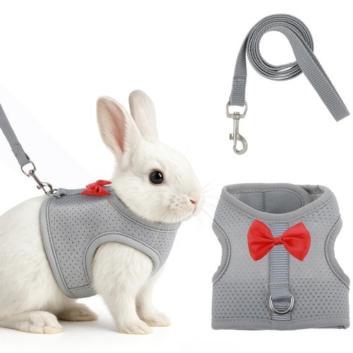 Bunny harness and - and, leash