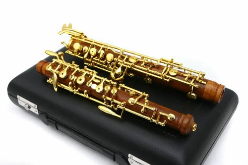 Professional oboe nice sound - professional, sound,c