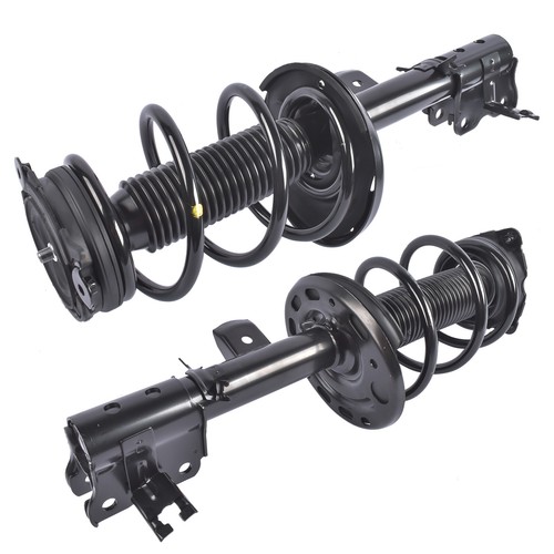 Front struts coil - w/, spring