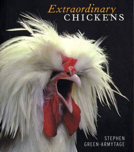 Extraordinary chickens a - extraordinary,