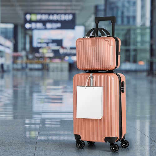 Carry luggage travel - on,