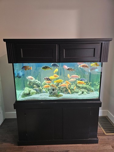 120 gallon fish tank - gallon,