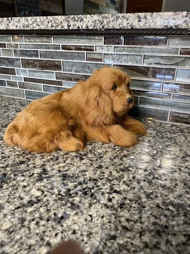 Vintage real fur golden cocker - vintage,