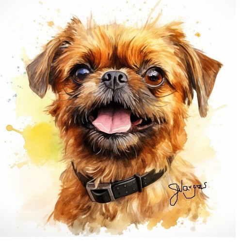 Watercolor brussels griffon - brussels,