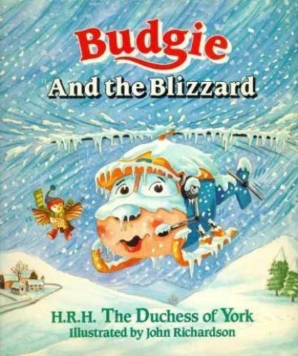 Budgie and the - , blizzard