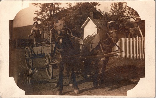 Postcard man horse drawn - horse,