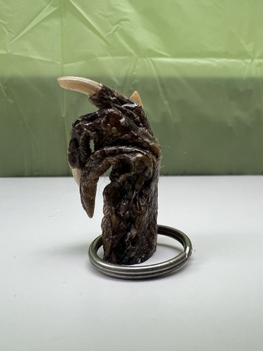 Alligator paw keychain real - alligator,
