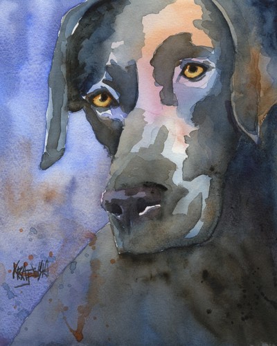 Labrador retriever print - labrador, of