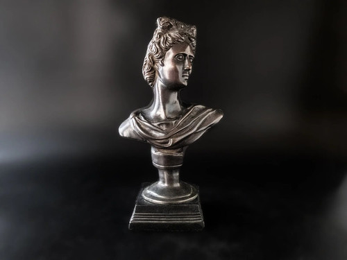 Bronze bust greek goddess - bronze,