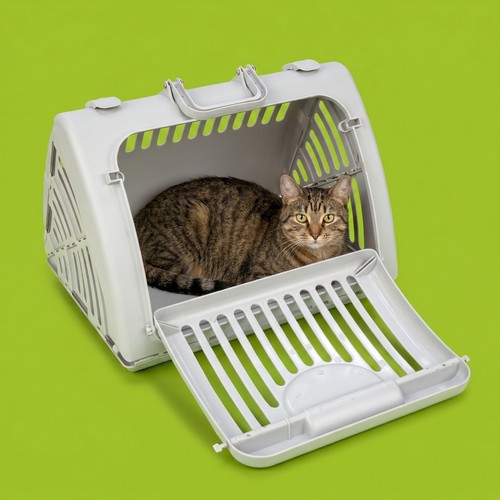 Vibrant life foldable cat - foldable,