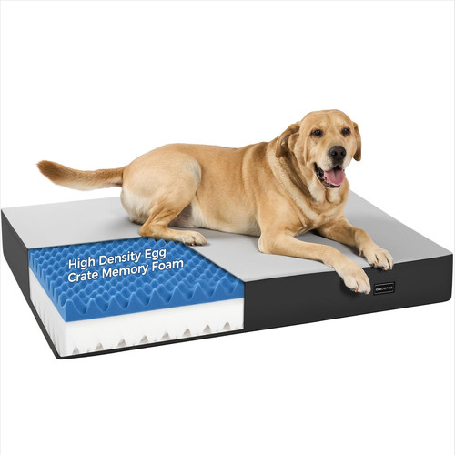 Inch thick orthopedic dog - inch,