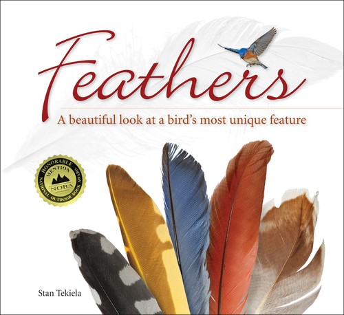 Feathers beautiful look at - feathers:,