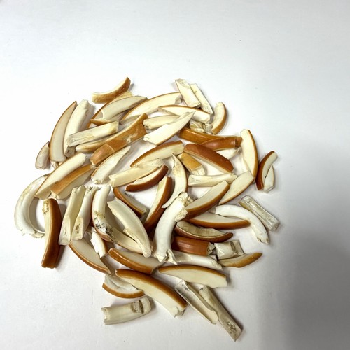 Lot assorted broken - of,