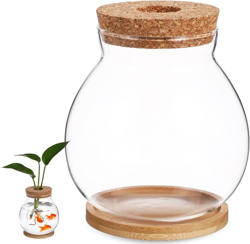 Desktop hydroponic fish bowl - fish,