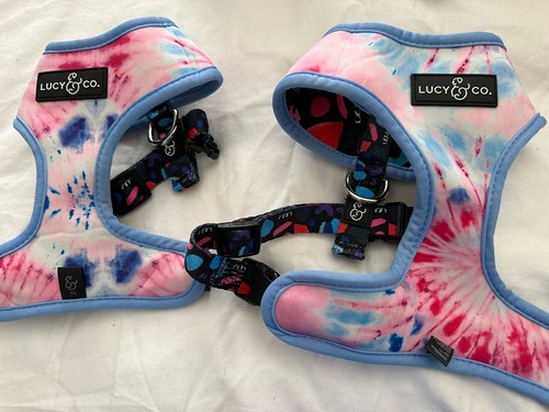 Lucy two reversible dog - &,