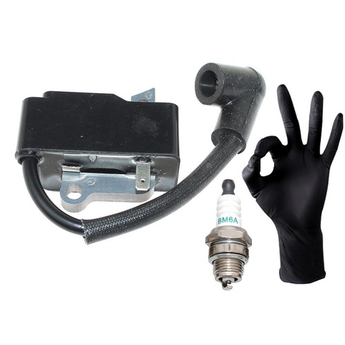 Ignition module for husqvarna - ignition,