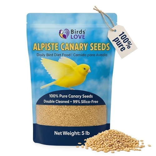Birds love alpiste canary seed - alpiste,
