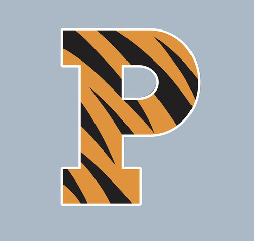 Car magnet princeton tigers - princeton,