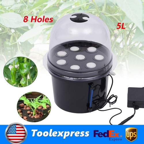 Hydroponics seedling - seedling, &