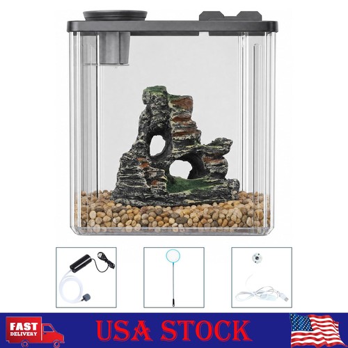 Small fish tank - fish, tank,