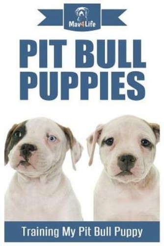 Pit bull puppies - pit,