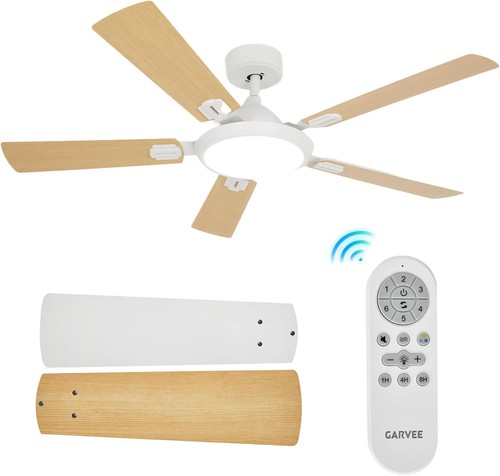 Ceiling fan light - ceiling, remote