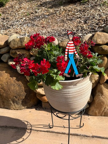 Wheres waldo mini 5x7 - mini, planter