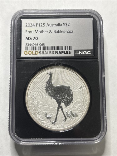 2024 p125 2 - 2024, australia
