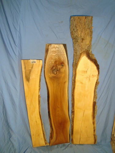 3836 maple live - #3836, 2,