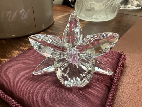 Swarovski the orchid - swarovski, (pink)