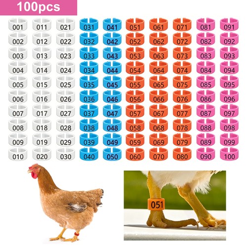 100pcs chicken leg bands - 100pcs,