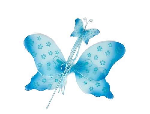 Butterfly wings wand set - wings, &