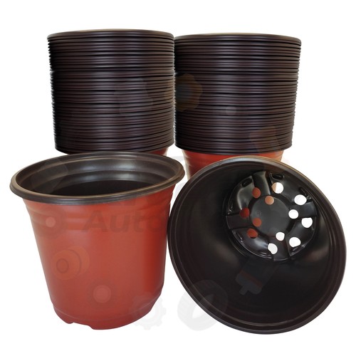 Plant pots 100 - 6"x5",