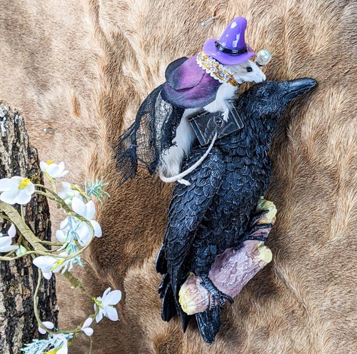 Mouse taxidermy witch faux - taxidermy,