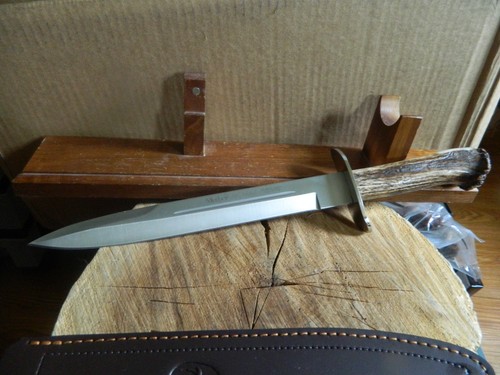 Muela alcaraz bowie - 15,